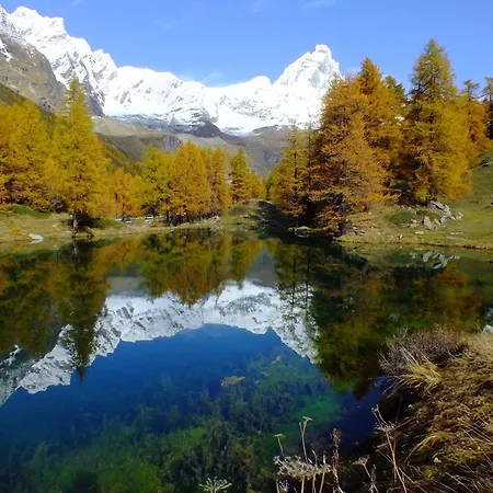 Hellochalet Derby - Heart Of Cervinia, Balcony & Lifts 1 Min Walk Lejlighed